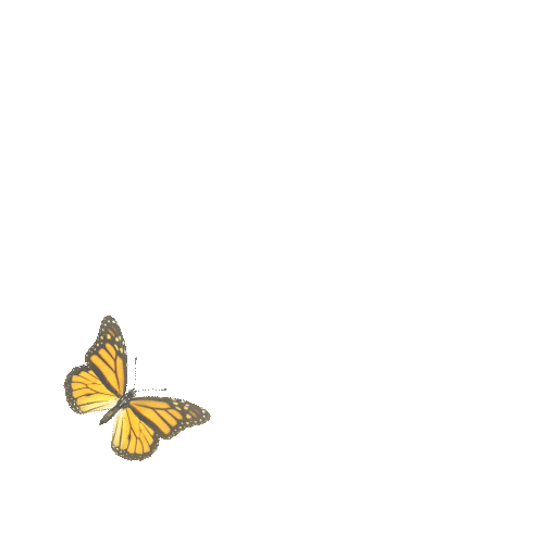 https://cdn-builder.viding.co/23846/Comp-6.gif