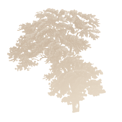 https://cdn-builder.viding.co/26612/pohon.gif