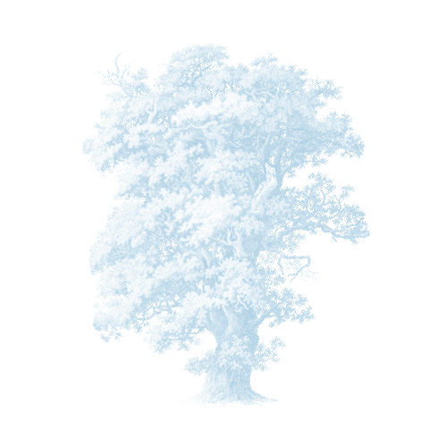 https://cdn-builder.viding.co/29217/white.gif