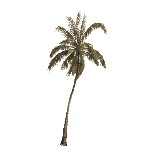 https://cdn-builder.viding.co/32973/pohon-kelapa.gif