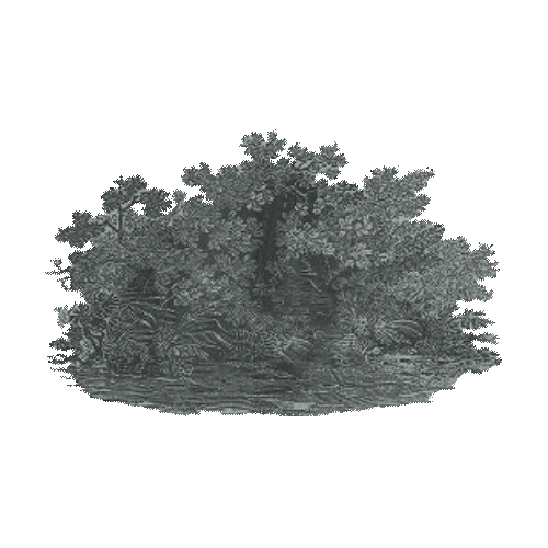 https://cdn-builder.viding.co/32974/bush-ijo.gif