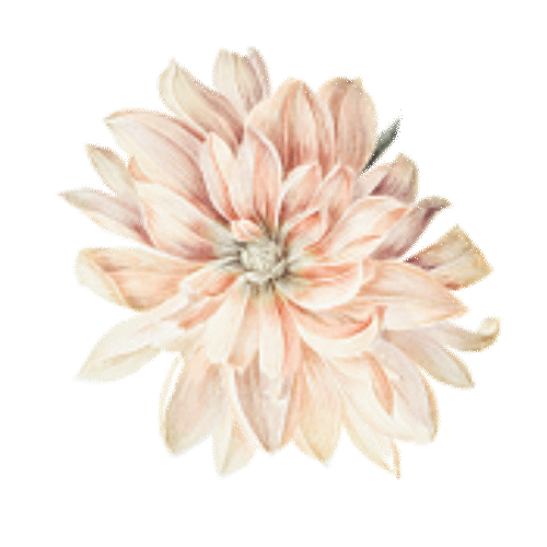 https://cdn-builder.viding.co/32985/rose-2.gif