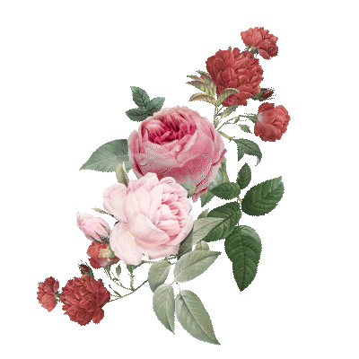 https://cdn-builder.viding.co/51620/Comp-2.gif